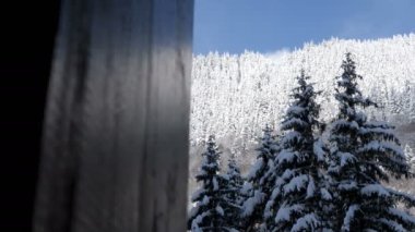 Reaveling dolly çekim güzel kış manzarası