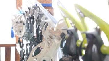 Farklı tip ve snowshoeing renkler