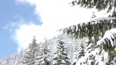 Soldan sağda güzel kış yatay olarak kaydırma