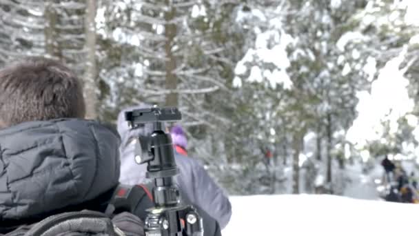 Costas de um passeio turístico em montanhas de inverno — Vídeo de Stock