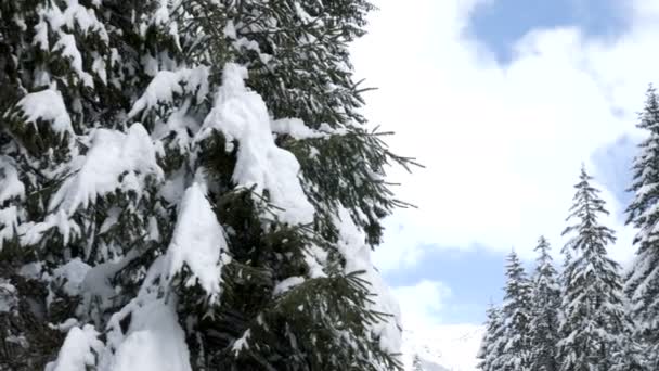 Paisaje en las montañas de invierno — Vídeo de stock