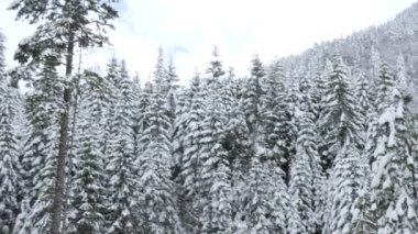 Güzel dağlar kış manzara