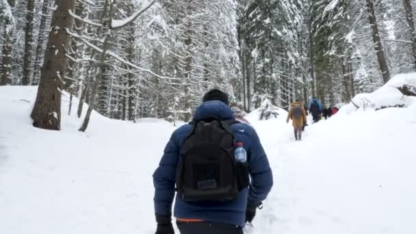 Csoport a gyalogos turisták a séta a hegyekben — Stock videók