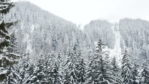 Blick über winterliche Berglandschaft — Stockvideo