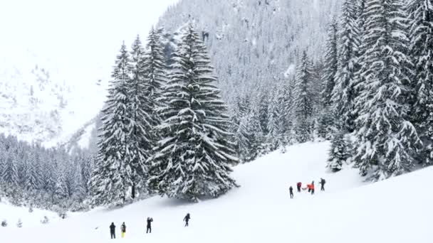 Turistas em montanhas tirando fotos — Vídeo de Stock