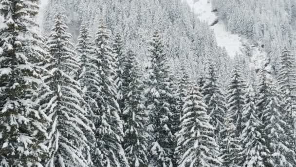 Traumhafte Winterlandschaft in den Bergen — Stockvideo