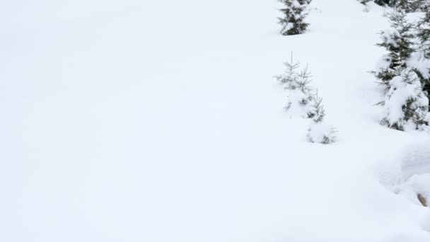 Rivier in de winter bergen — Stockvideo