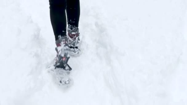 Fechar em pés andando em snowshoeing — Vídeo de Stock