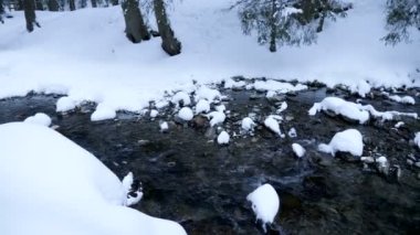 Soğuk kışın dağ nehir