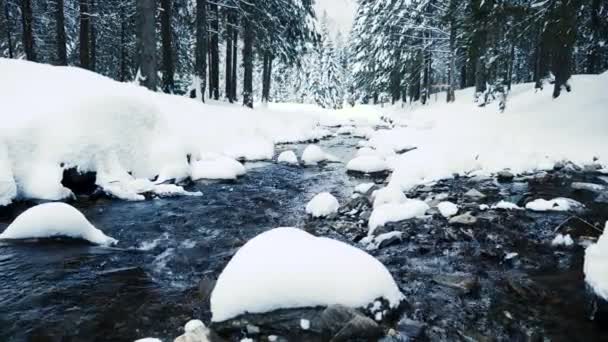 Gebirgsfluss in den Bergen — Stockvideo