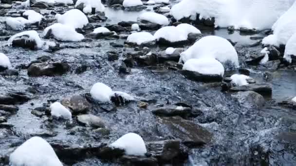 Fluss in den Bergen im Winter — Stockvideo