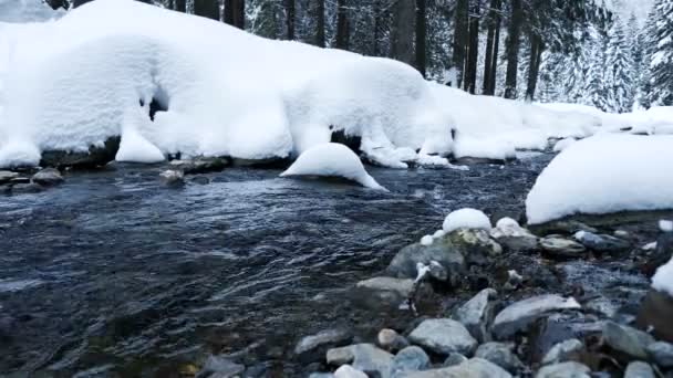 Красивая и живописная река в горах зимой — стоковое видео