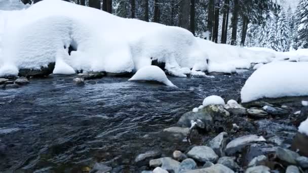 Fiume bello e panoramico in montagna in inverno — Video Stock