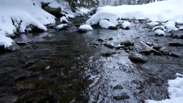 Panoramique sur une rivière de montagne 