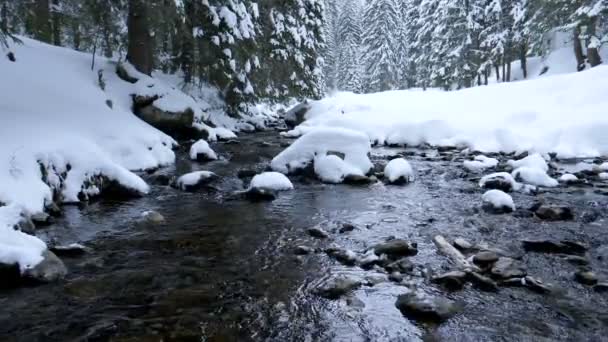 Splendido paesaggio di bellissimo fiume — Video Stock