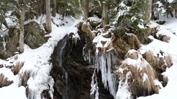 Cascada en las montañas en invierno — Vídeos de Stock