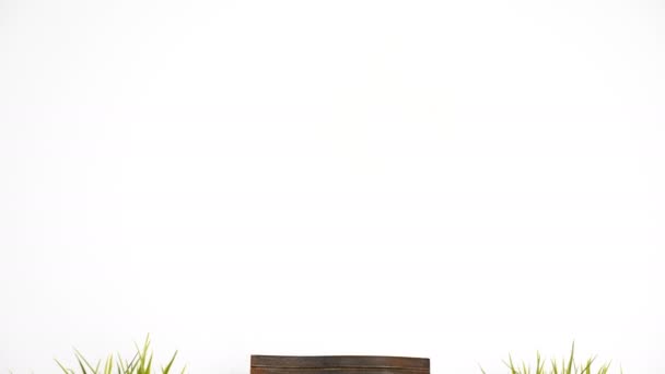 古いヴィンテージの木製フォト フレーム — ストック動画