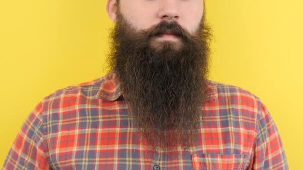 Hipster demonstrates his long beard to the camera — Stock Video