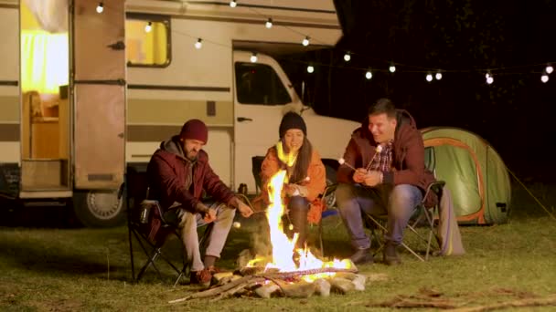 Group of happy friends around burning camping fire — Stock Video