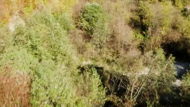 Drohne fliegt an einem sonnigen Herbsttag über den Bergwald — Stockvideo