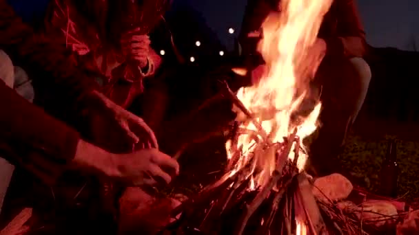 Близькі друзі роблять вогонь у кемпінгу разом — стокове відео