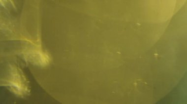 Siyah arkaplan üzerinde sıcak mercek parıltılarının görüntüsü