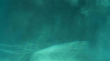 Doku ve parlak bokeh ile turkuaz ışık efekti