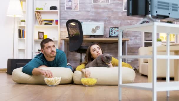 Pareja joven viendo televisión con su gato — Vídeos de Stock