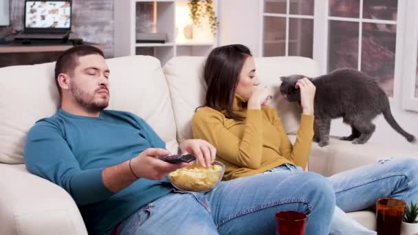 Para relaksująca oglądając film w telewizji — Wideo stockowe