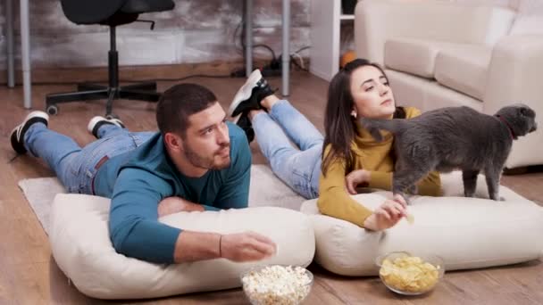 Young couple spending time with their cat — Stock Video