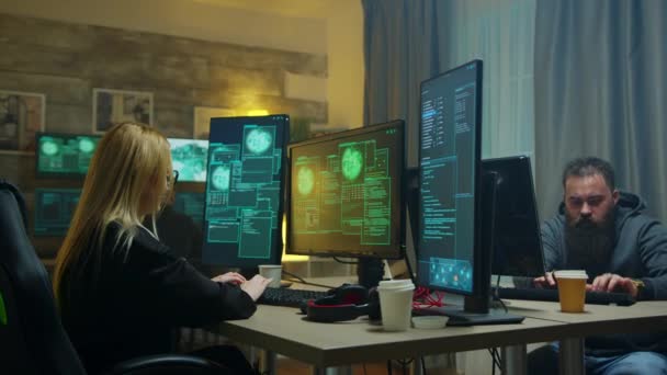 Queria hacker girl e sua equipe roubando do governo — Vídeo de Stock