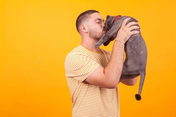 Attraente giovane uomo che tiene e bacia il suo adorabile gatto — Foto Stock