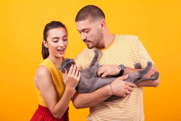 Feliz jovem casal aproveitando o tempo com seu gato — Fotografia de Stock