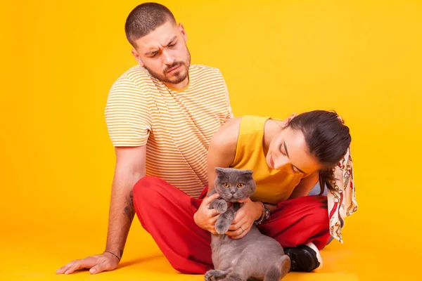 Přítel hledá, jak jeho krásné přítelkyně hrát s jejich kočkou — Stock fotografie