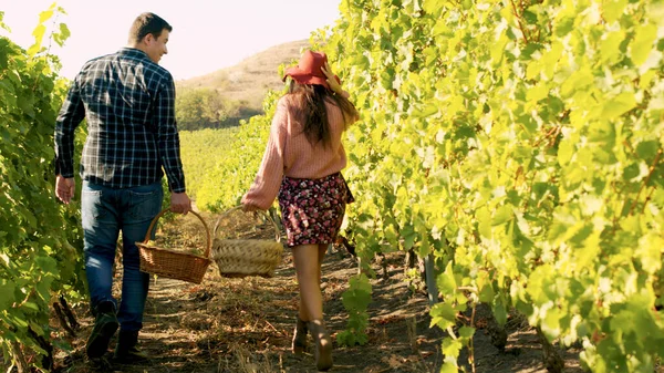 Вид ззаду красивої кавказької пари, що ходить у винограднику — стокове фото