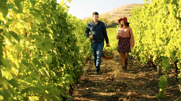 Några promenader i en vingård med glas vin i händerna — Stockfoto