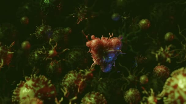 Virus, bactéries ou autres maladies en gros plan représentation microscopique — Video