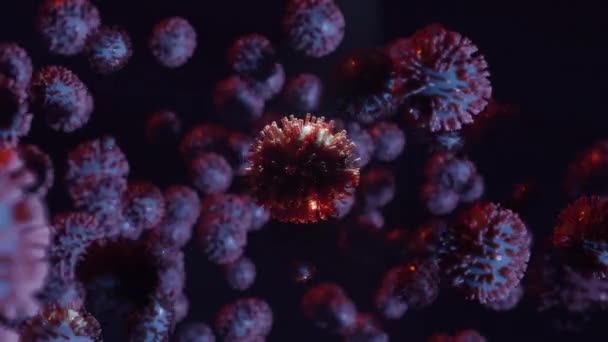Вирус в середине других клеток, атакующих иммунную систему — стоковое видео