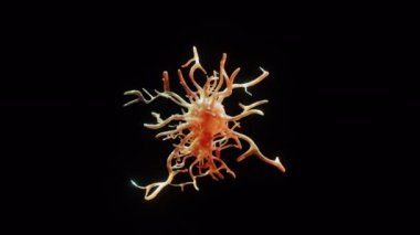 Virüs, covid-19 veya alfa üzerindeki diğer bakteri hücreleri