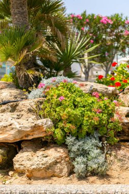flouwers ve taş içinde peyzaj tasarımı
