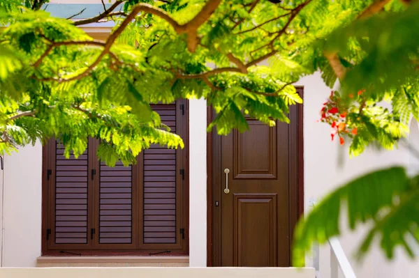 kapı ve pencere kepenkleri akasya aracılığıyla ile