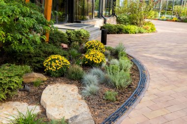 Manzara tasarımında çalılar ve çiçekler