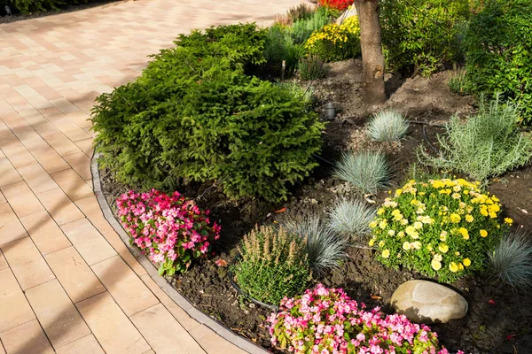 Manzara tasarımında çalılar ve çiçekler