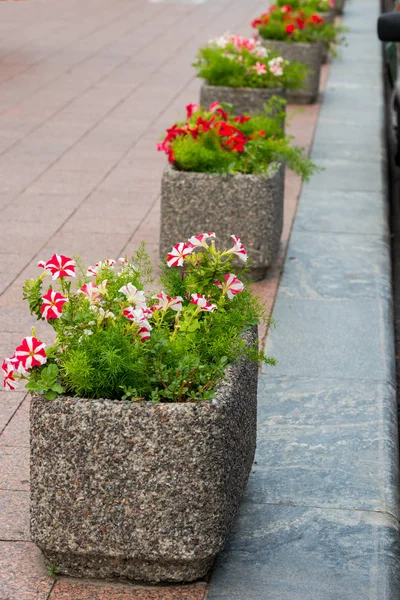 Stone flowerpots in the park — Stock Photo, Image