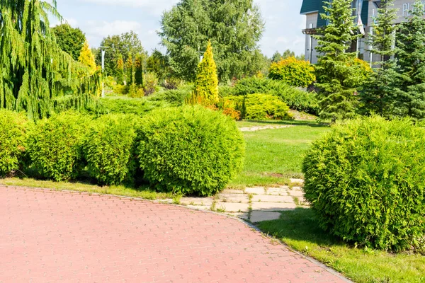 Caminos de piedra decorados en el diseño del paisaje — Foto de Stock