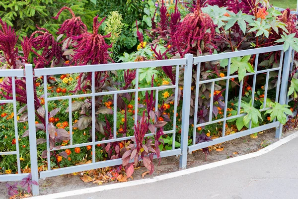 Different flowers in the design — Stock Photo, Image