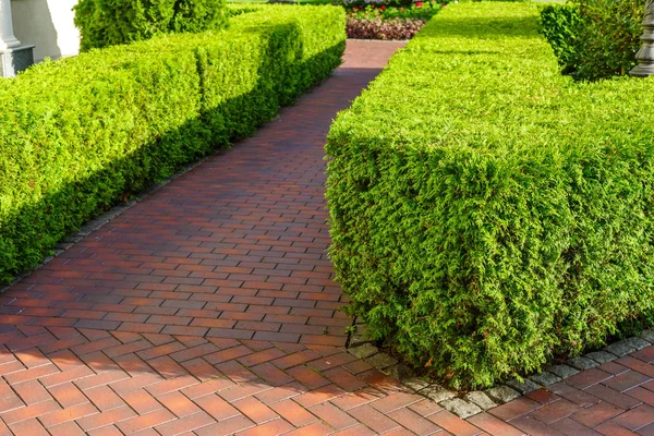 Caminos de piedra decorados en el diseño del paisaje — Foto de Stock