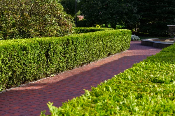 Decorated stone paths in landscape design — Stock Photo, Image