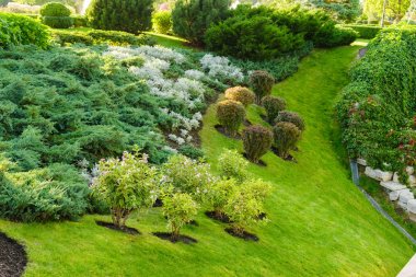 yeşil bitkiler peyzaj tasarım yamacında