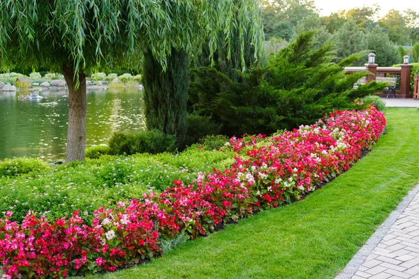 çiçekler ve çalılar Peyzaj Park